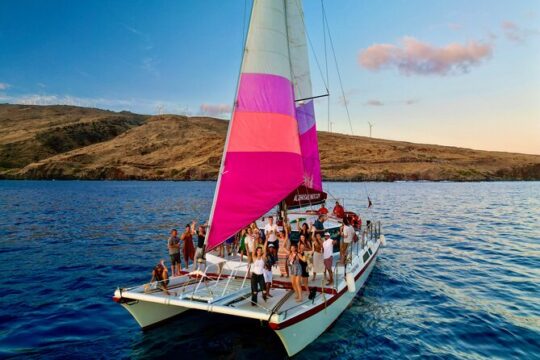 From Maalaea Harbor: Whale Watching Tours Aboard Small Catamaran