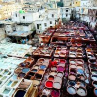 Multi-day & Extended Tours