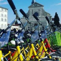 Bike Rentals