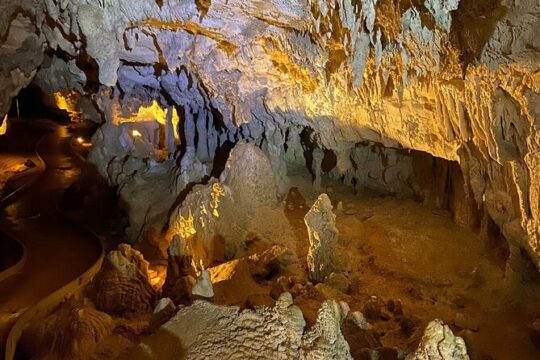 From Auckland: Waitomo Glowworm & Cave Explorer Small Group Tour