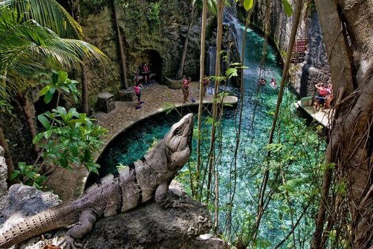 Xcaret Nature Adventure