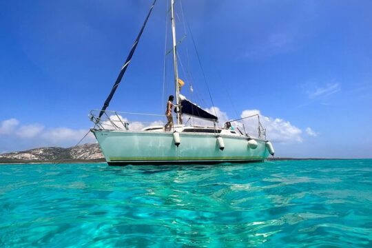 Asinara Full Day Sailboat Tour from Stintino