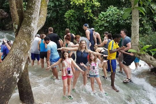Dunn's River Falls and Fern Gully Highlight Adventure Tour from Kingston