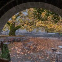 Walking & Biking Tours
