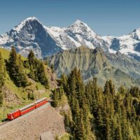 Tours & Sightseeing