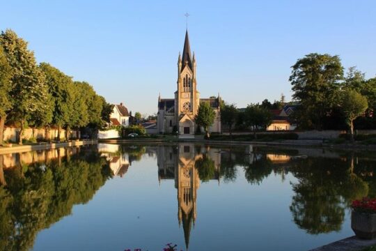 Private Transfer From Paris to Reims, 2 Hour Stop in Epernay