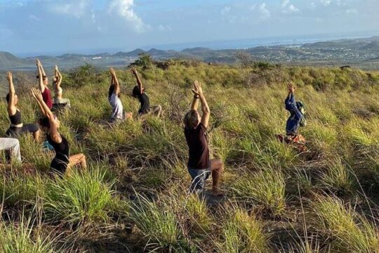 Book Our Stonehenge in Antigua Greencastle Hill Hike with Yoga!