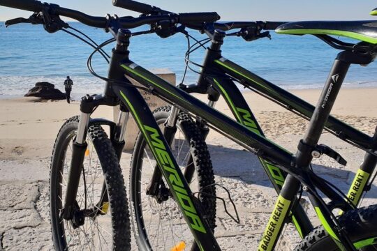 Mountain Bike Rental