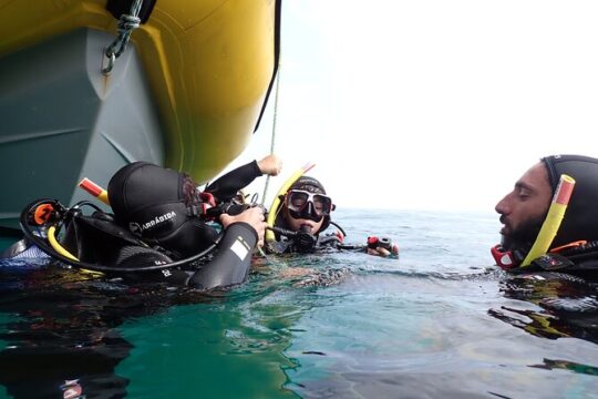 Open Water Diver Course in Arrabida Natural Park (Near Lisbon)