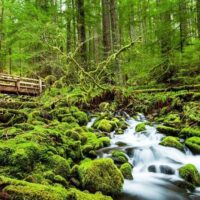 Walking & Biking Tours