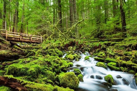 4-Day Olympic Backpacking - Sol Duc and the Seven Lakes Basin