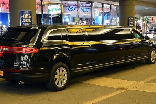 Arrival Private Transfer Port Canaveral to Orlando by Bus or Limo