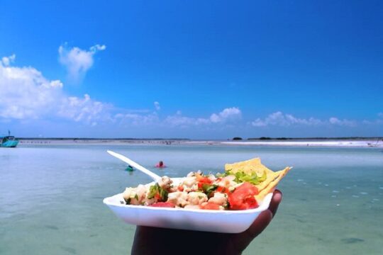 Cozumel Snorkeling Reef Experience with Ceviche and Beers