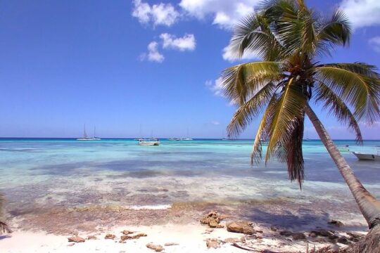 Saona Island Deluxe with Private Transfer (Min 8 People)