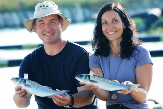An Unforgettable Day With Fish, Wine and Olive Oil Tasting