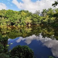 Plantation Tours