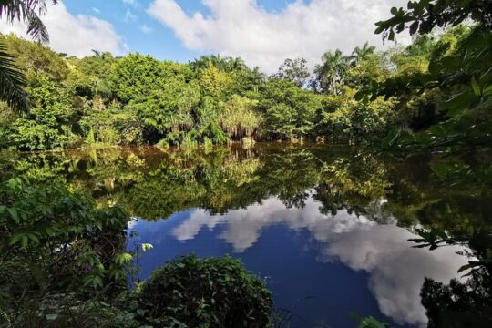 Dominican FLAVOR & COUNTRYSIDE SAFARI Pick-up Included
