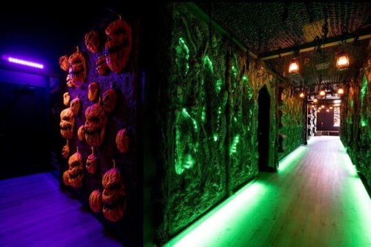 Fear at the Pier Haunted Attraction