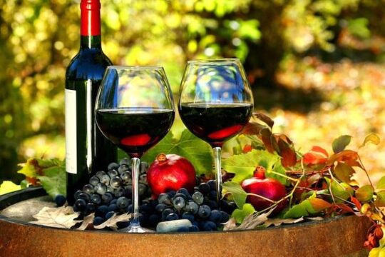 Secrets of winemaking and perfumery on the Côte d'Azur Cannes Shore Excursion