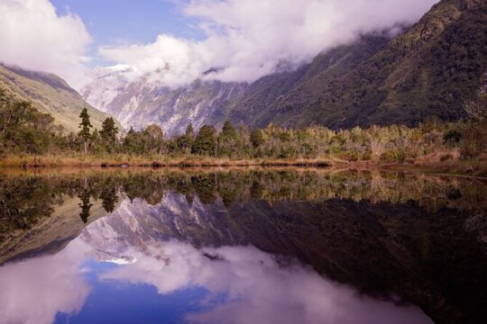 Franz Josef Nature Tour