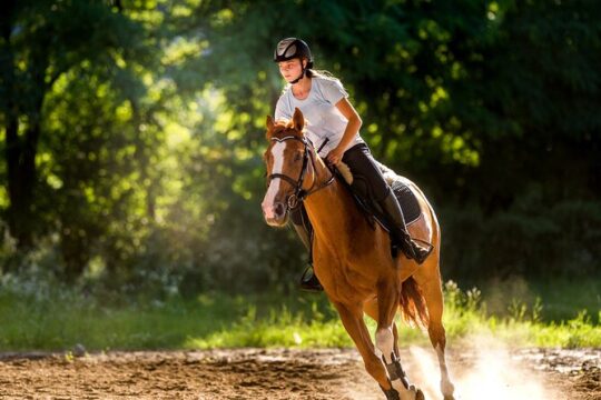 Side Horse Riding On Beach And Through The Forests For 2 Hours