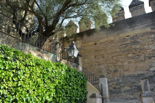 Cordoba Important Monuments Guided Tour in Spanish