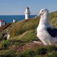 Day Trips & Excursions