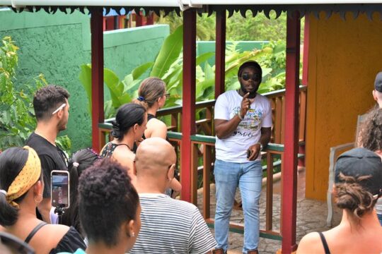 Bob Marley's Nine Mile Day-Trip with Admission & Guided Tour from Runaway Bay