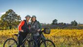 Fantastic cycling scenery and wine 