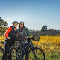 Self-guided Tours & Rentals