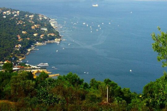 Princes' Islands Tour from Istanbul