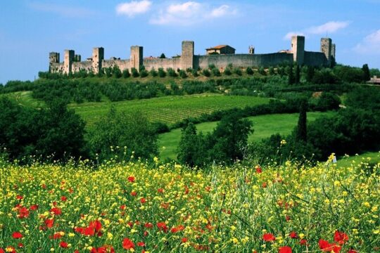 Vespa Tour with Lunch&Chianti Winery from Siena
