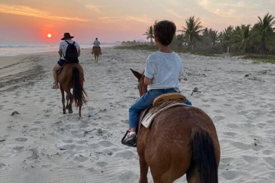 Sunset by horse (river and beach)