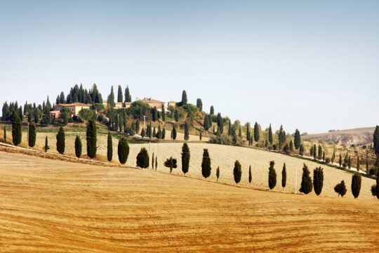 Chianti and Castle small group Tour from Siena with Wine Tasting