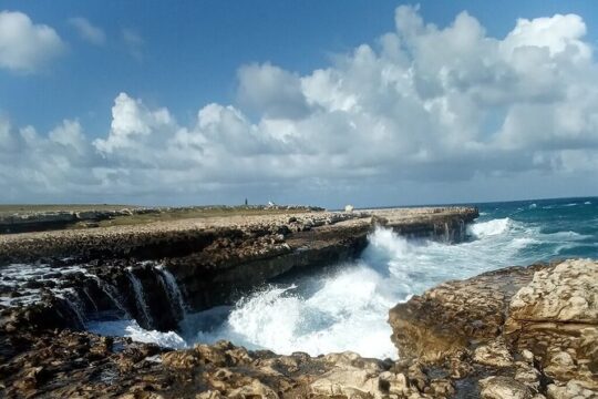 Book today, Rastafari Experience Antigua Eco Full Island Tour