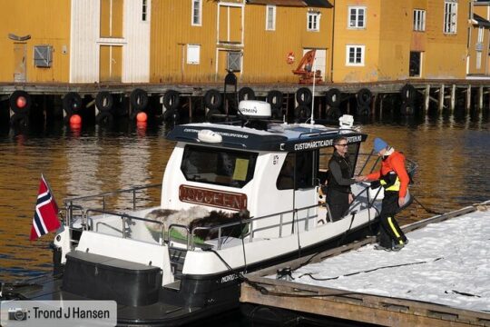 4 Hours Private Exclusive Boat Sightseeing in Leknes (group 1-4)