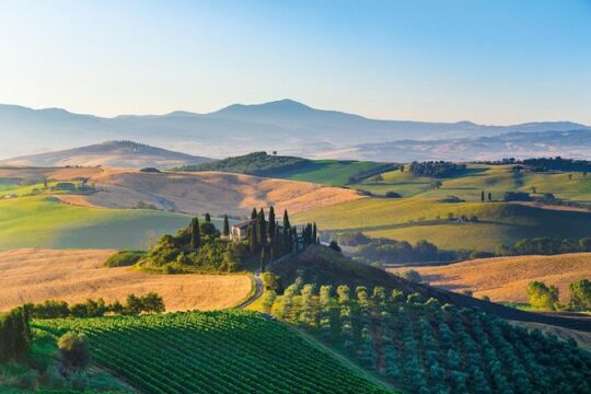 Small group Brunello di Montalcino Wine Tour from Siena