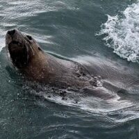 Glass Bottom Boat Tours