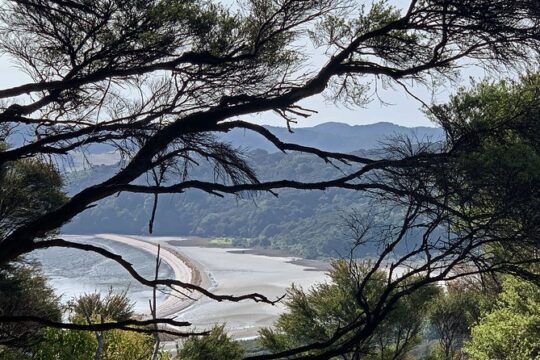 Waiheke Island Private Freedom Te Ara Hura Walk