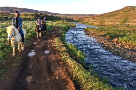 3 hour Private Horse Riding Tour in Mosfellsdalur