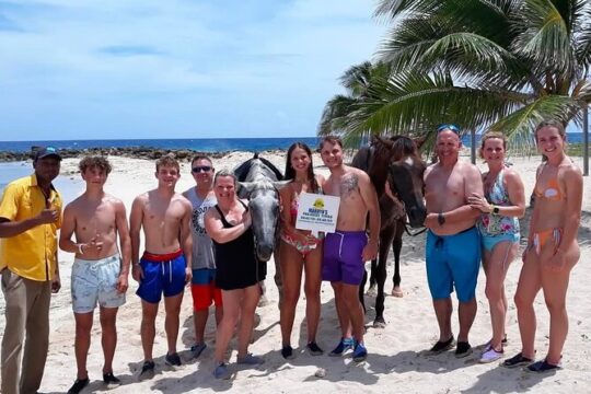 Private Horseback riding in the Ocean & Blue hole from Ochi Rios