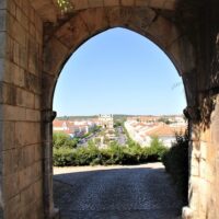 Walking & Biking Tours