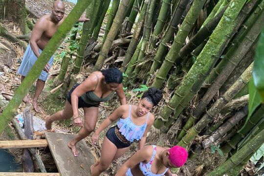 Private & Customize Tour from Montego Bay to Y S Falls