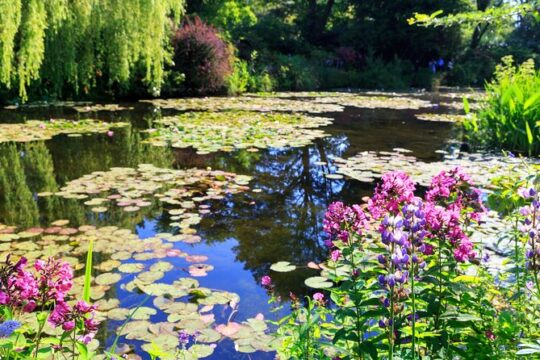 Private Giverny Roundtrip and Entrance Ticket from Paris