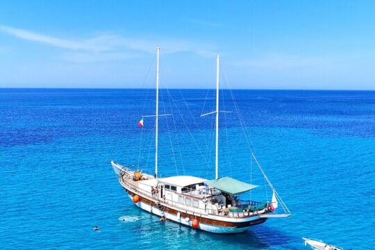 Boat tour of San Pietro Island