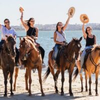 Weddings & Honeymoons