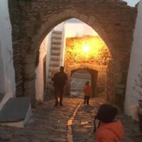 Bus & Minivan Tours