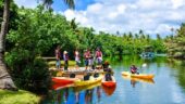 Excellent Kayak and Barbecue lunch!
