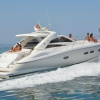 Day Cruises