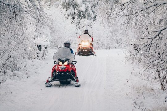 Adventurer's Snowmobile Tour 4h